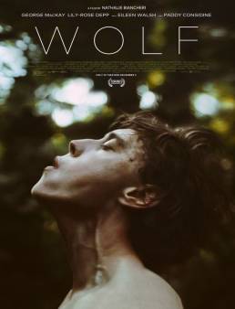 فيلم فيلم Wolf 2021 مترجم اون لاين 2021