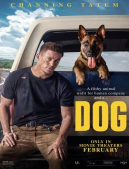فيلم فيلم Dog 2022 مترجم HD كامل اون لاين 2022