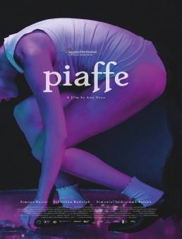فيلم فيلم Piaffe 2023 مترجم 2023