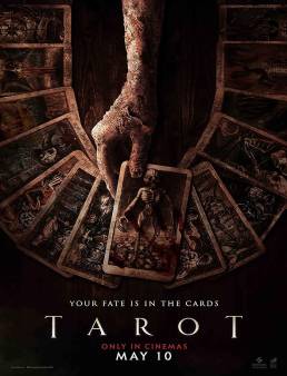 فيلم فيلم Tarot 2024 مترجم 2024