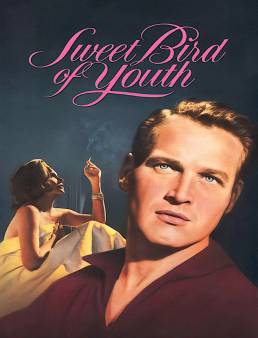 فيلم فيلم Sweet Bird of Youth 1962 مترجم 1962