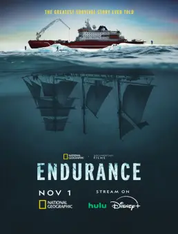 فيلم فيلم Endurance 2024 مترجم 2024