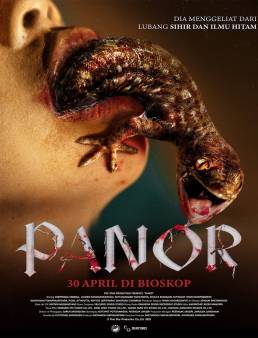 فيلم فيلم Panor 2025 مترجم 2025