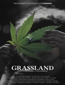 فيلم فيلم Grassland 2025 مترجم 2025