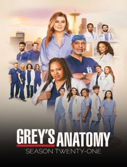 مسلسل مسلسل Grey’s Anatomy الموسم 21 الحلقة 1 2005