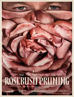 فيلم فيلم Rosebush Pruning 2026 مترجم 2026