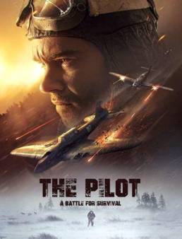 فيلم فيلم The Pilot. A Battle for Survival 2021 مترجم HD كامل اون لاين 2021