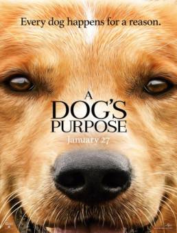 فيلم مشاهدة فيلم A Dog's Purpose مترجم 2017