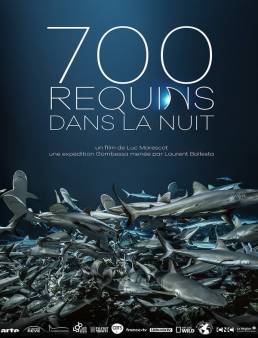 فيلم فيلم 700 Sharks 2018 مترجم 2018