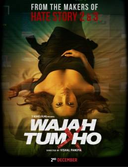 فيلم مشاهدة فيلم Wajah Tum Ho مترجم 2016