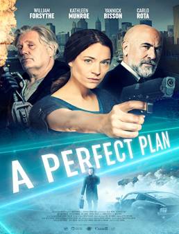 فيلم فيلم A Perfect Plan 2020 مترجم 2020