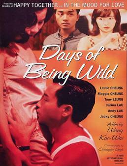 فيلم فيلم Days of Being Wild 1990 مترجم 1990