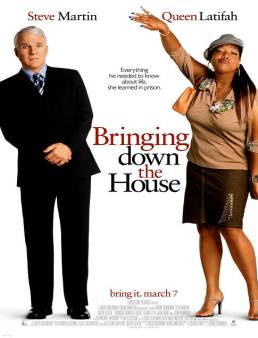 فيلم فيلم Bringing Down the House 2003 مترجم 2003