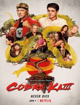 مسلسل مسلسل Cobra Kai الموسم 3 الحلقة 4 2021