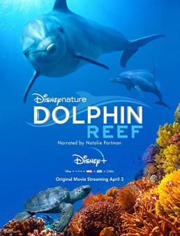 فيلم فيلم Dolphin Reef 2020 مترجم 2020
