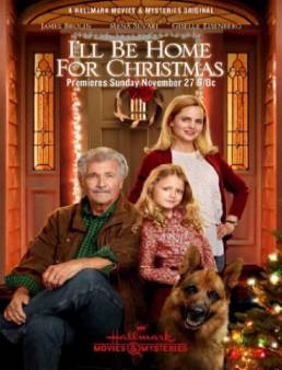 فيلم مشاهدة فيلم I'll Be Home for Christmas مترجم 2016