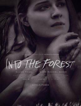 فيلم فيلم Into the Forest 2015 مترجم 2015