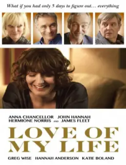 فيلم مشاهدة فيلم Love of My Life مترجم 2017