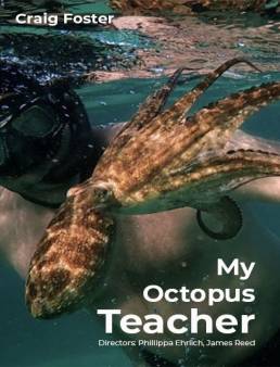 فيلم فيلم My Octopus Teacher 2020 مترجم 2020