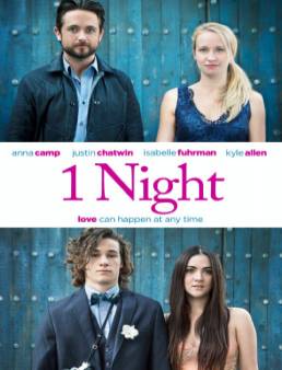 فيلم مشاهدة فيلم One Night مترجم 2016