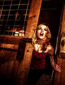 فيلم One Night of Fear 2016 مترجم