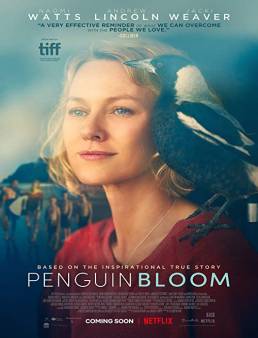 فيلم فيلم Penguin Bloom 2020 مترجم 2020