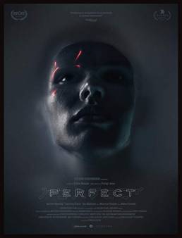 فيلم فيلم Perfect 2018 مترجم 2018