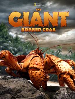 فيلم فيلم The Giant Robber Crab 2019 مترجم 2019