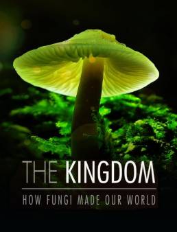 فيلم فيلم The Kingdom: How Fungi Made Our World 2018 مترجم 2018