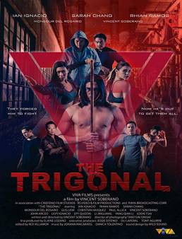 فيلم فيلم The Trigonal: Fight for Justice 2018 مترجم 2018