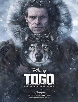فيلم فيلم Togo 2019 مترجم 2019