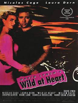 فيلم فيلم Wild at Heart 1990 مترجم 1990
