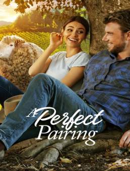 فيلم فيلم A Perfect Pairing 2022 مترجم 2022