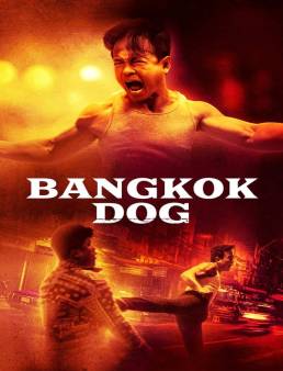 فيلم فيلم Bangkok Dog 2024 مترجم 2024