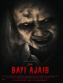 فيلم فيلم Bayi Ajaib 2023 مترجم 2023