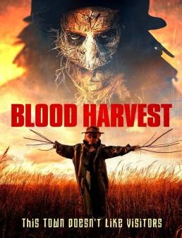 فيلم فيلم Blood Harvest 2023 مترجم 2023