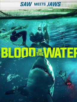 فيلم فيلم Blood in the Water 2022 مترجم 2022