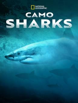 فيلم فيلم Camo Sharks 2022 مترجم 2022