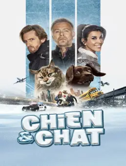 فيلم فيلم Cat and Dog 2024 مترجم 2024