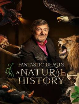 فيلم فيلم Fantastic Beasts: A Natural History 2022 مترجم 2022