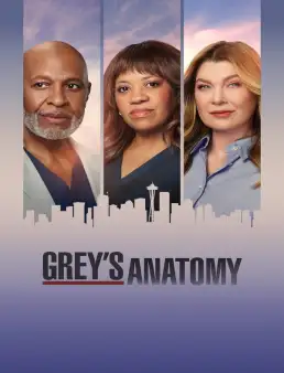 بوستر مسلسل Grey's Anatomy الموسم 23 الحلقة 2 2005 مترجم