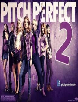 فيلم مشاهدة فيلم Pitch Perfect 2 مترجم