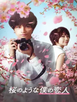 فيلم فيلم Love Like the Falling Petals 2022 مترجم اون لاين 2022