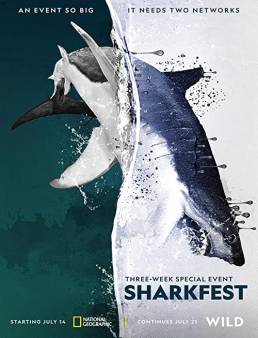 فيلم Man vs. Shark 2019 مترجم