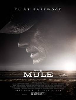 فيلم فيلم The Mule 2018 مترجم 2018