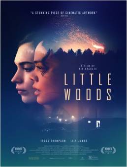 فيلم فيلم Little Woods 2018 مترجم 2018