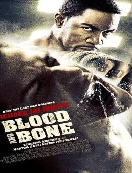 فيلم فيلم Blood and Bone 2009 مترجم 2009