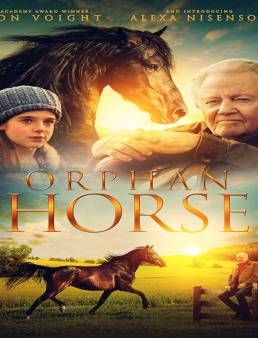 فيلم فيلم Orphan Horse 2018 مترجم 2018