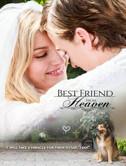 فيلم فيلم Best Friend from Heaven 2018 مترجم 2018