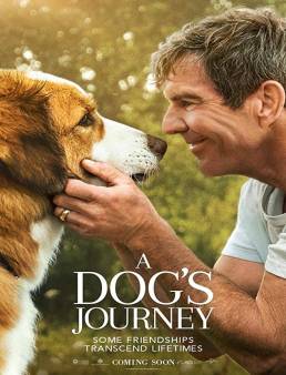 فيلم فيلم A Dogs Journey 2019 مترجم 2019
